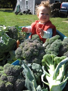 Cecilia in a wagon full of just-harvested broccoli Cecilia in a wagon full of just-harvested broccoli