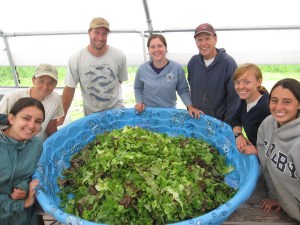 The Giant Salad Bowl