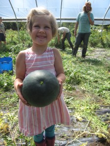 A very happy melon harvester.  