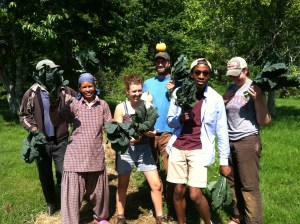 Our formidable Saturday harvest crew this week was made up of this goofy, adorable group of human beings. L to R Sobha Ram (hiding behind the lacinato kale), Sayni, Julia, Bill, Red, Katie! 